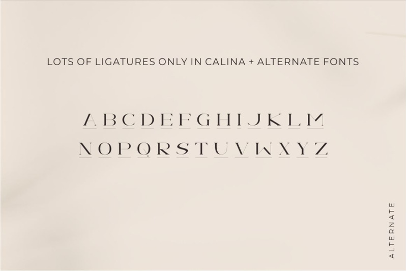 calina-serif-classy-font