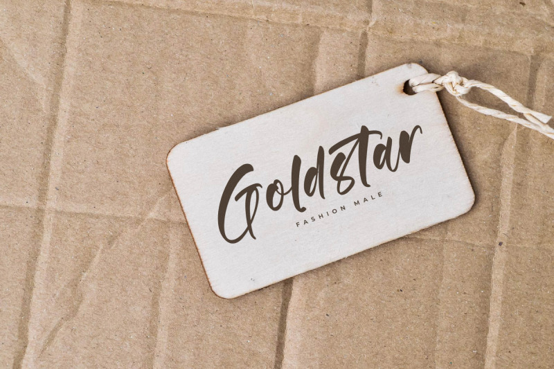 gouthals-palmetto-modern-handwritten-font