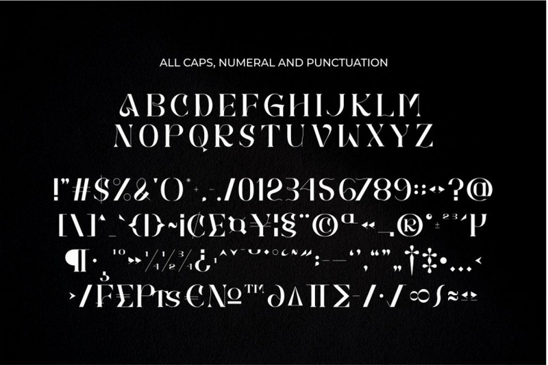 brays-unique-display-serif-font