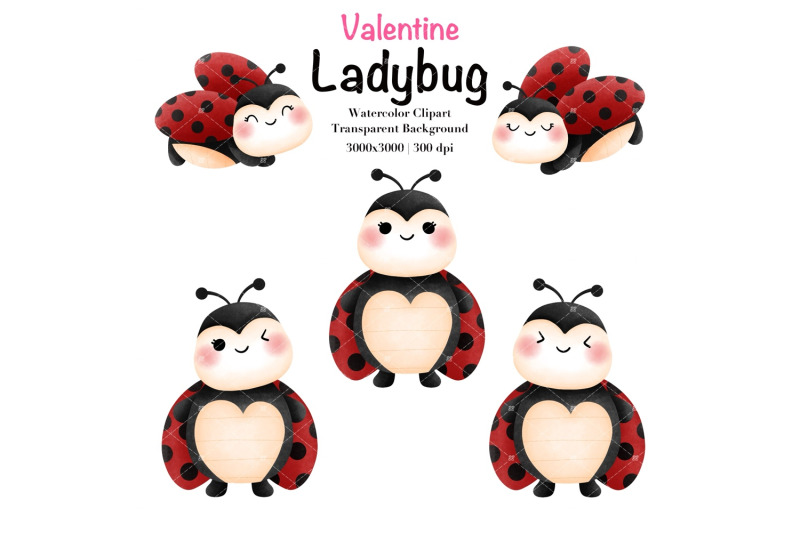 watercolor-valentine-ladybug-clipart