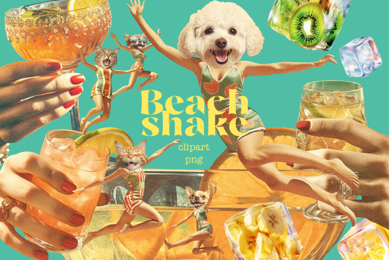 beach-shake