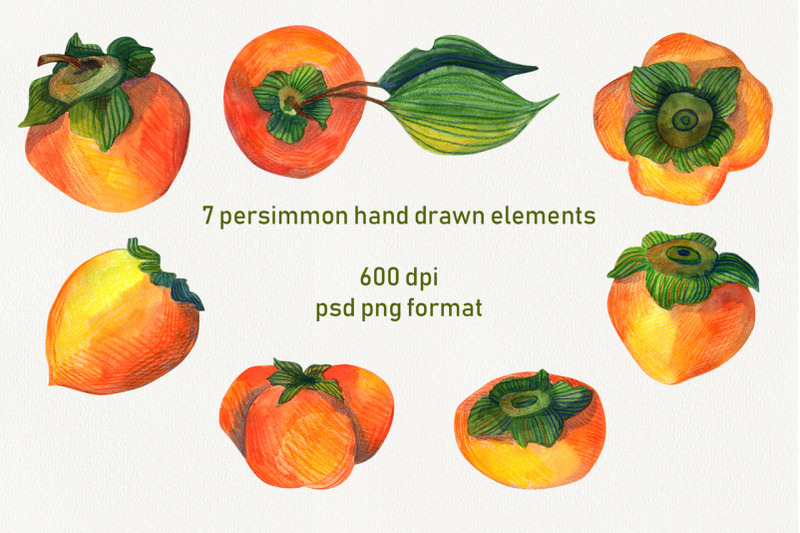 persimmon-fruit-hand-drawn-clipart-png