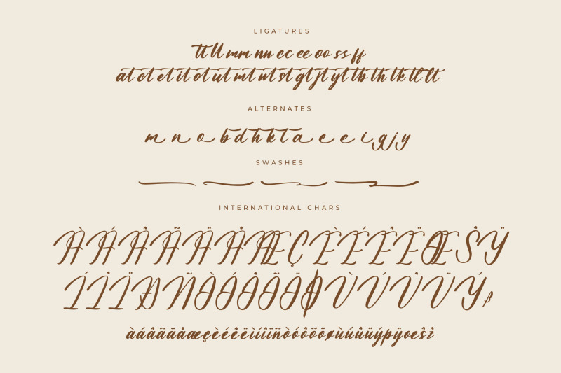 aetholany-roterdam-modern-bold-script-font