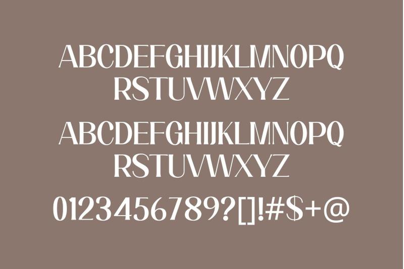 almost-elegant-serif-font