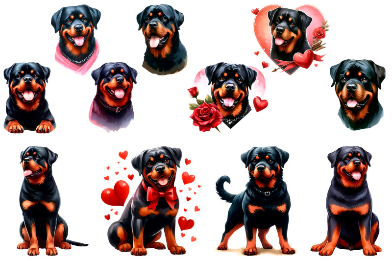 watercolor-rottweiler-clipart-dog-sublimation-png