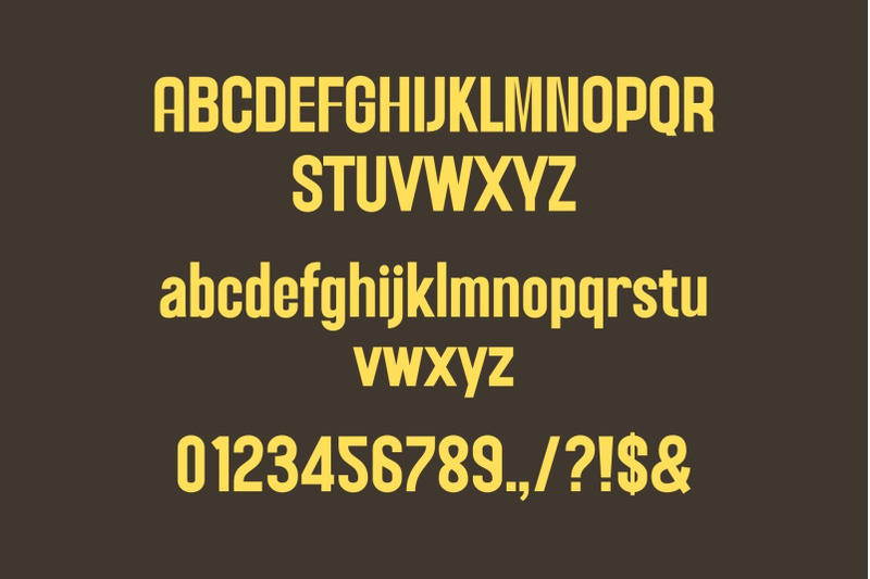 nelson-modern-sans-serif-font