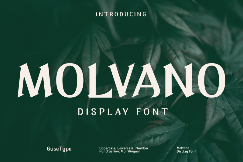 molvano-display-font
