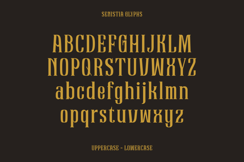 senistia-decorative-serif-condensed-font