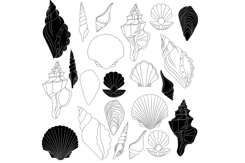 seashells-illustration-background-vector-clipart-set