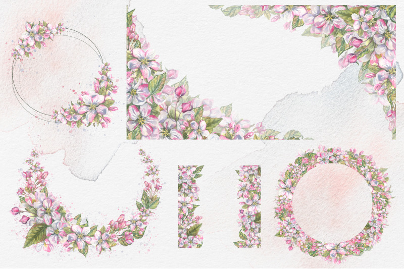 apple-blossom-clip-art-watercolor