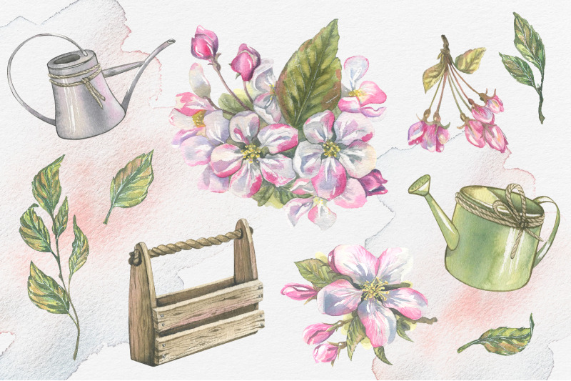 apple-blossom-clip-art-watercolor