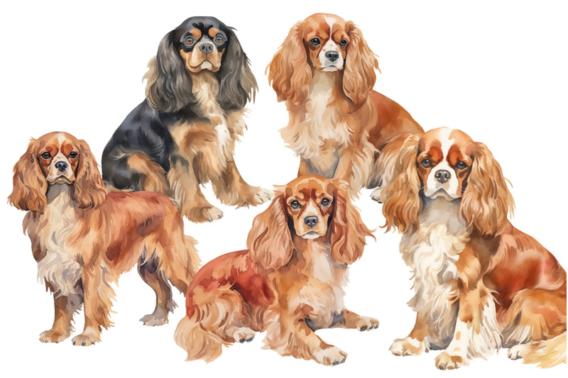 cavalier-dogs