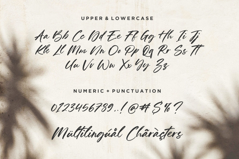 pairland-modern-calligraphy-font