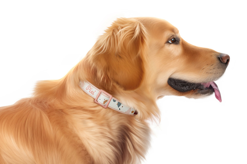 dog-wearing-a-collar-mockup