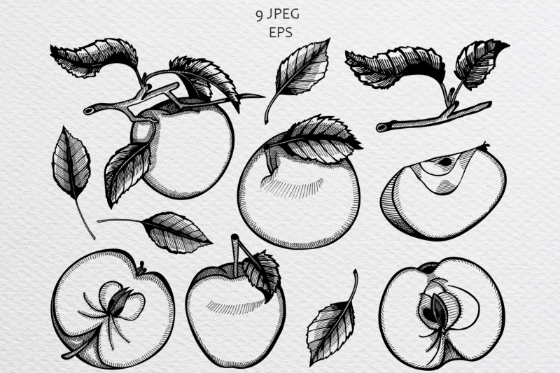 a-set-of-hand-drawn-sketches-with-apples-and-leaves-vector-illustrati