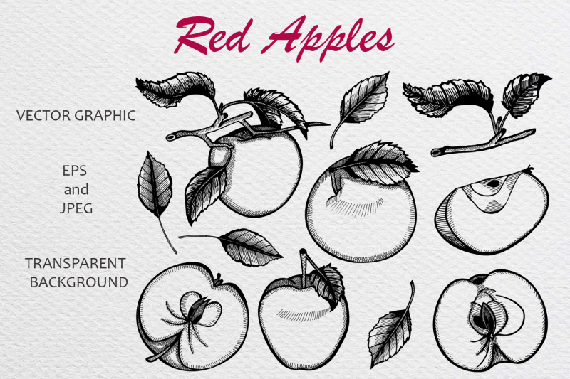 a-set-of-hand-drawn-sketches-with-apples-and-leaves-vector-illustrati