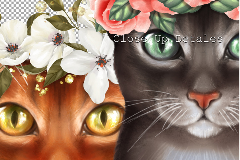 floral-cats-2-png-illustrations