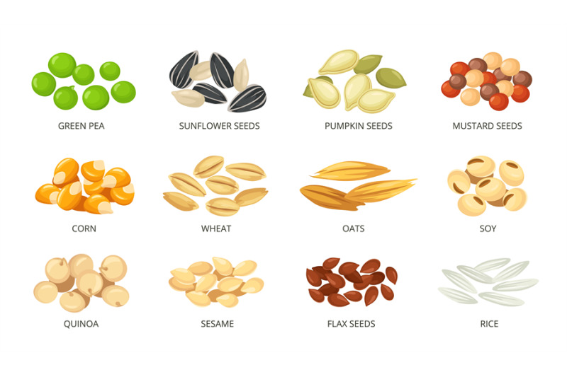 cartoon-plant-seeds-with-labels-food-packaging-icons-for-green-pea-s