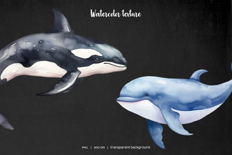 watercolor-antarctic-animals-clipart-south-polar-animals