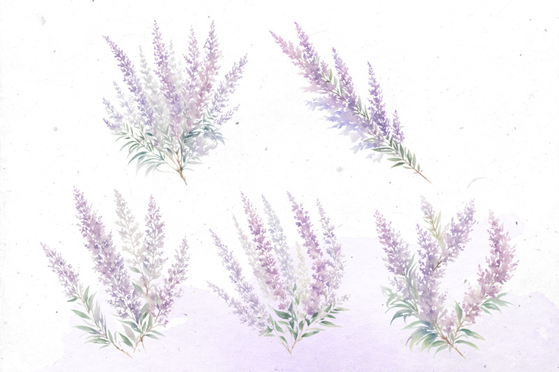 heather-flowers-watercolor-bundle-png-cliparts