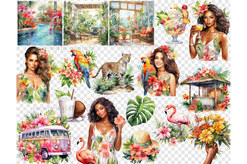 tropical-clipart-collection-jungle-clipart-png-bundle