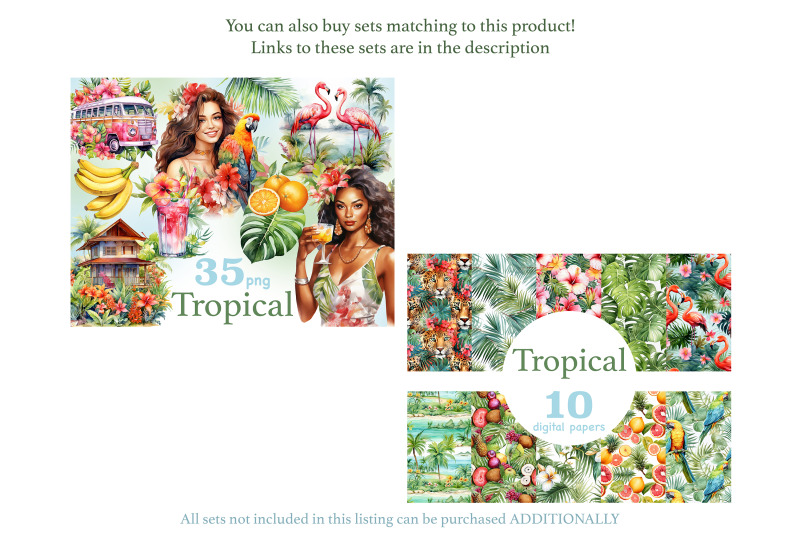 tropical-clipart-collection-jungle-clipart-png-bundle