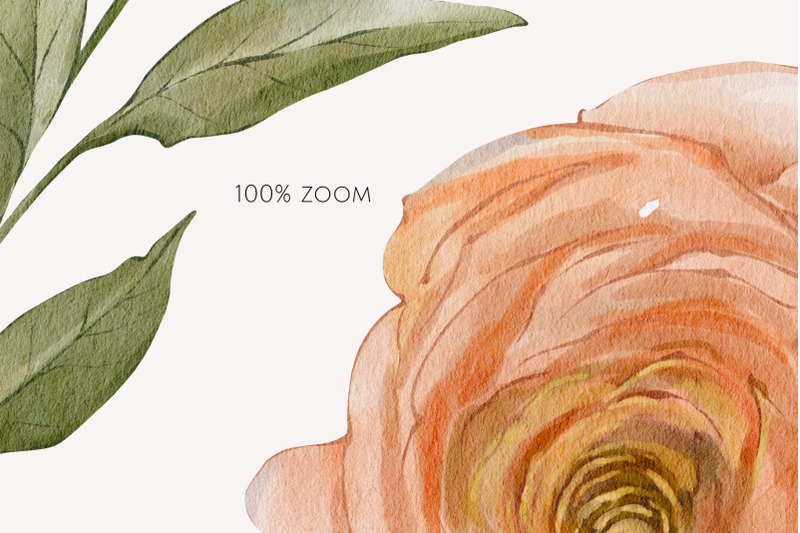 peach-bloom-watercolor-florals