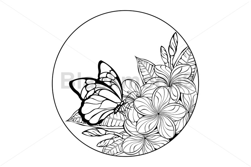 monogram-with-butterfly-and-plumeria