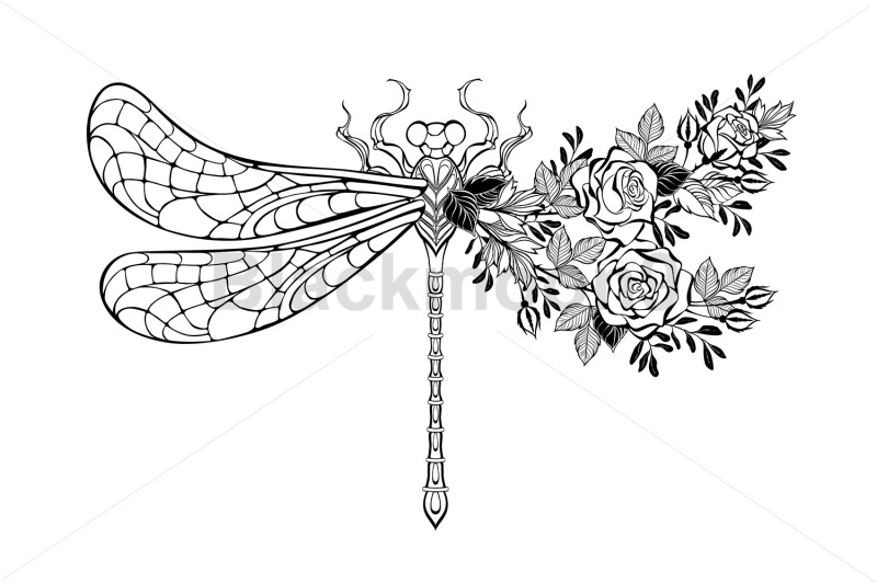 flower-dragonfly-with-contour-rose