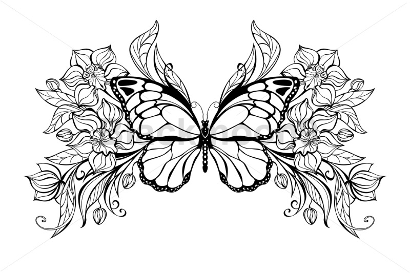 contoured-butterfly-with-contoured-orchids