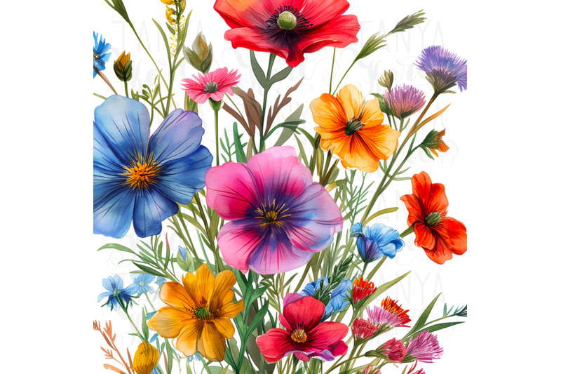 spring-wildflower-png-digital-floral-illustration-for-sublimation-des