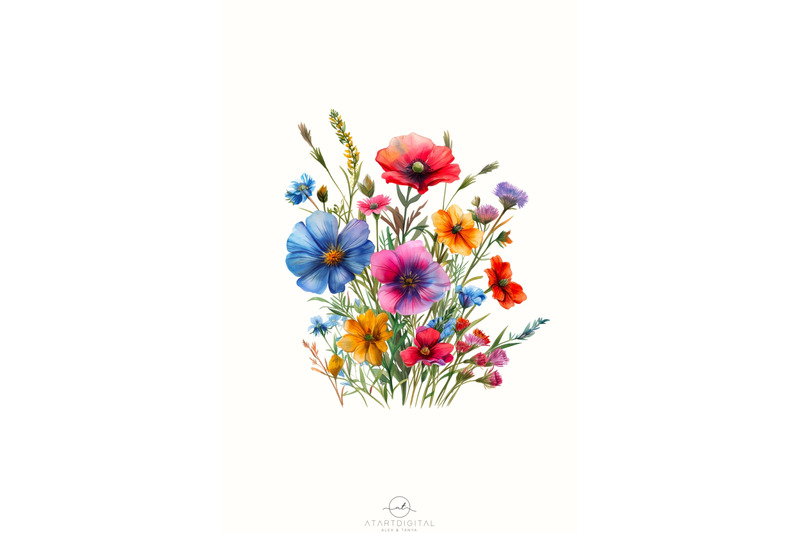 spring-wildflower-png-digital-floral-illustration-for-sublimation-des