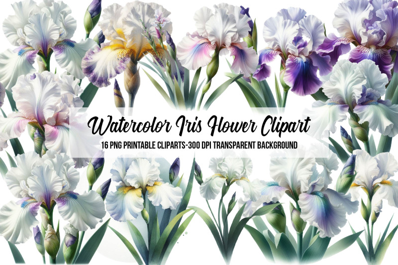 watercolor-iris-flower-clipart