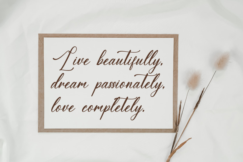 amalfina-shinndy-modern-beauty-script