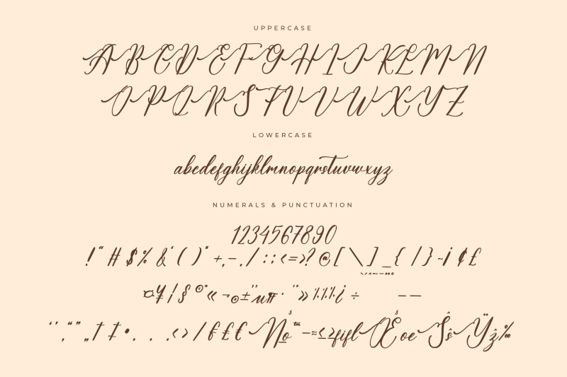 amalfina-shinndy-modern-beauty-script