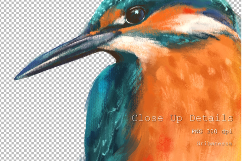 bird-on-branch-kingfisher-png-sublimation-design