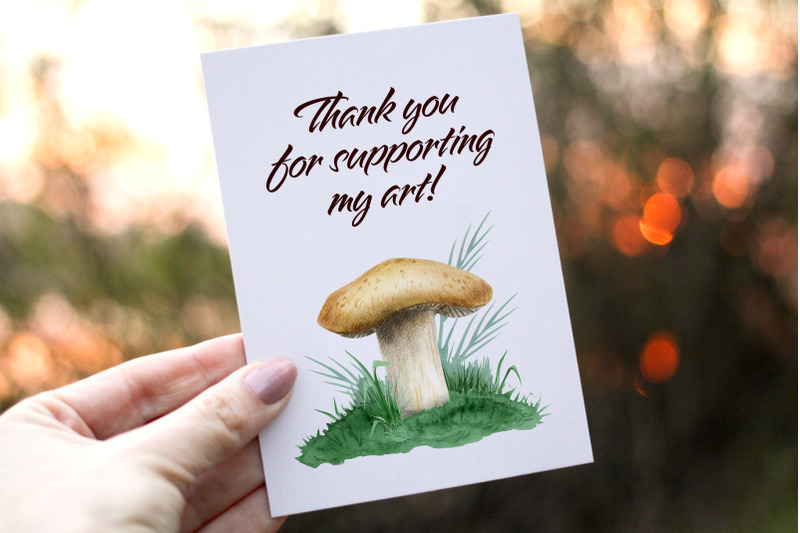 mushrooms-edible-amp-poisonous-forest-clipart