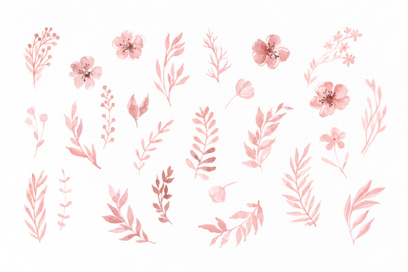 watercolor-pink-blush-leaves-flowers-png