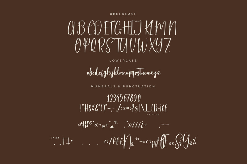 bastopher-modern-handwritten-script