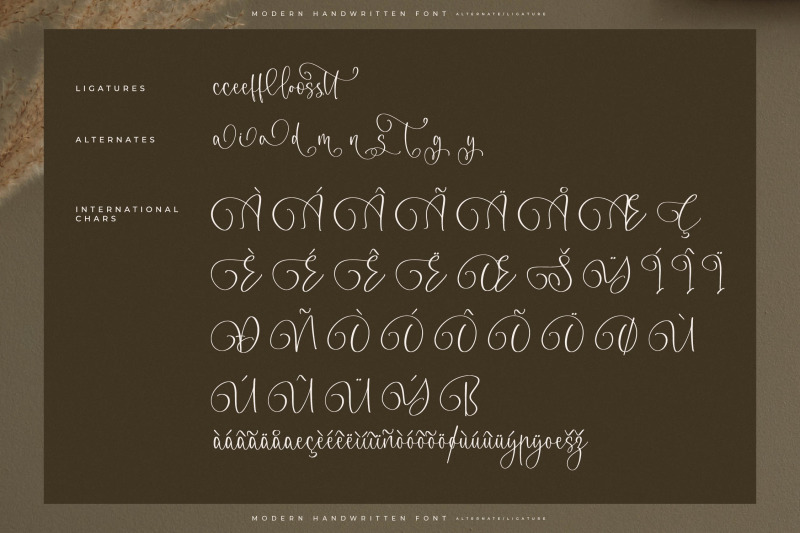 moonttima-goldfesta-modern-handwritten-font