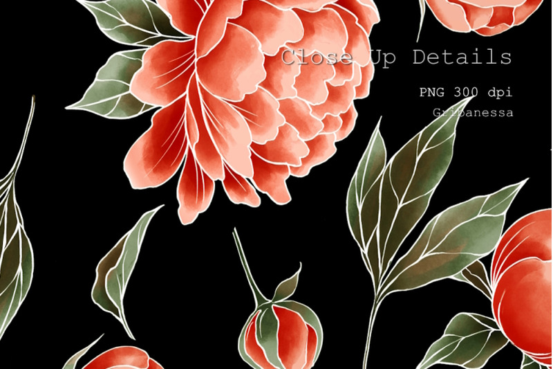 peony-flowers-patterns-floral-digital-paper