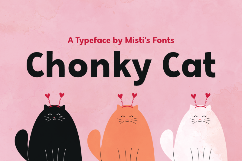 chonky-cat