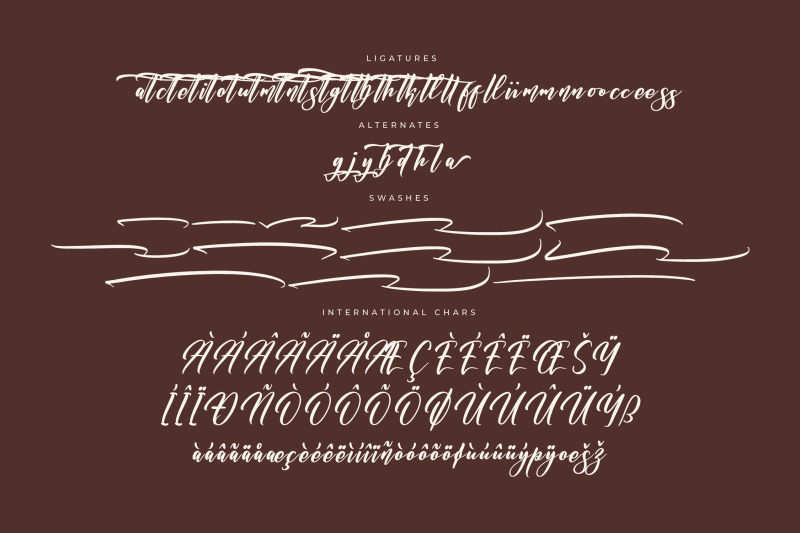 nickitasha-bardovilly-modern-handwritten-font
