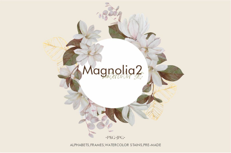 magnolia-2