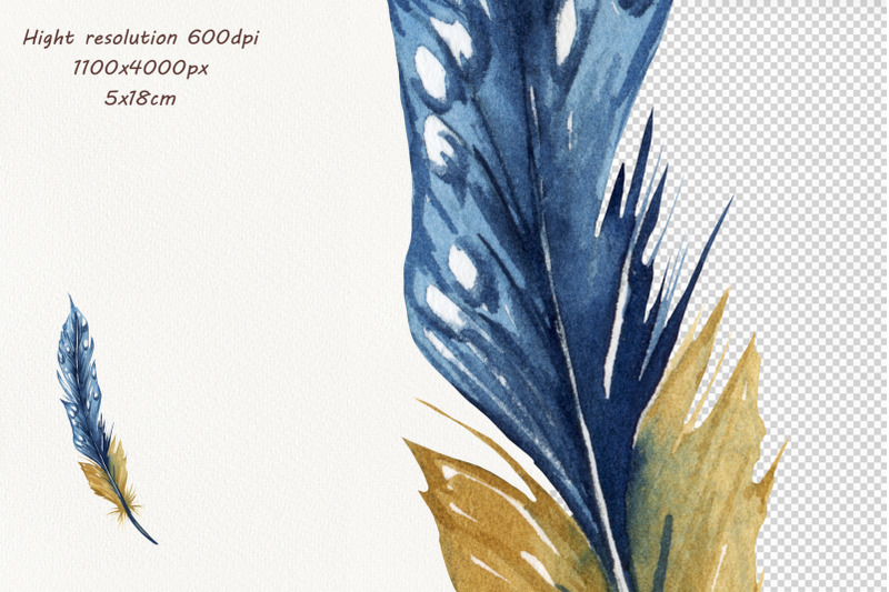 natural-feather-watercolor-clipart