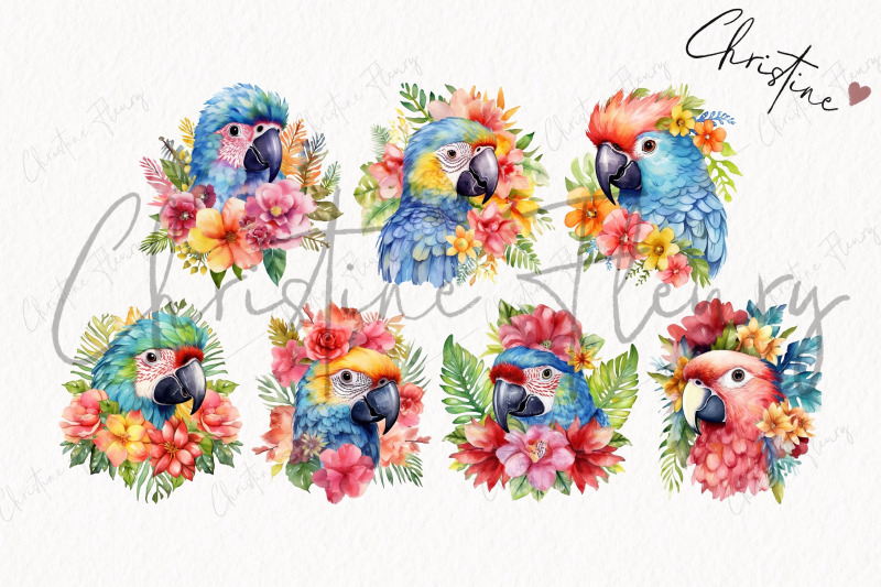 tropical-parrots-clipart