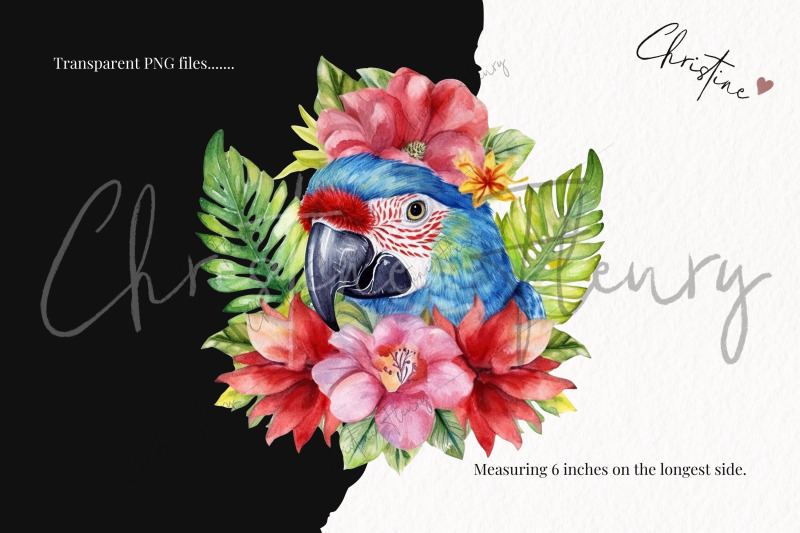 tropical-parrots-clipart