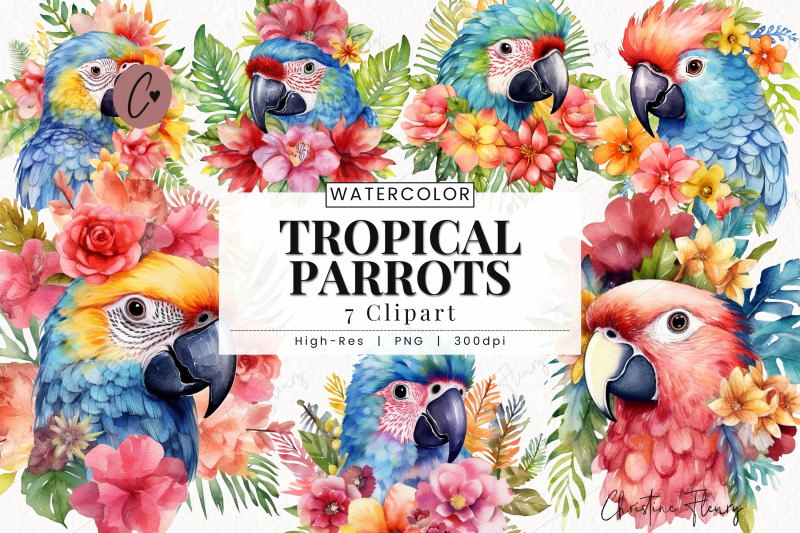 tropical-parrots-clipart