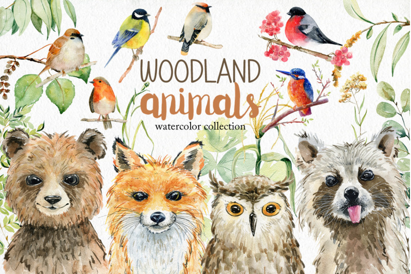 70-off-bundle-woodland-animals