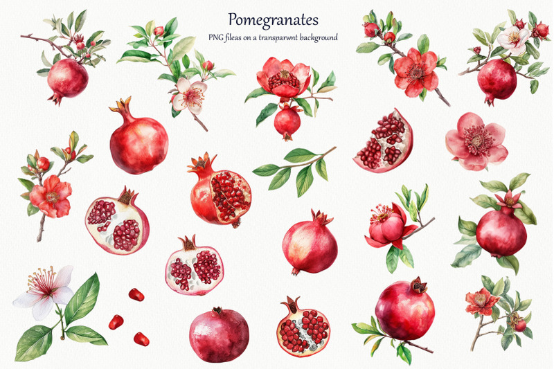 pomegranate-watercolor-clipart